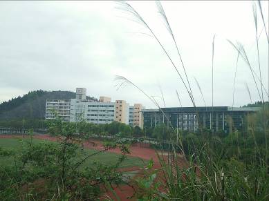学院第四届宿舍文化艺术节“宿舍摄影大赛”圆满结束