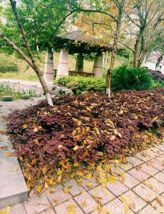学院第四届宿舍文化艺术节“宿舍摄影大赛”圆满结束